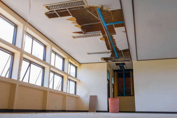 Best Residential water damage restoration  in Kenton, OH