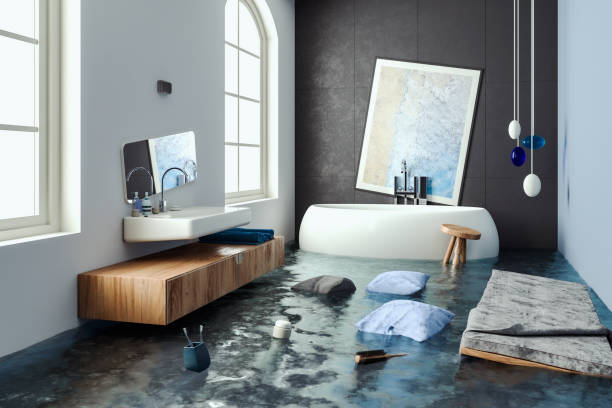 Best Professional water damage repair  in Kenton, OH