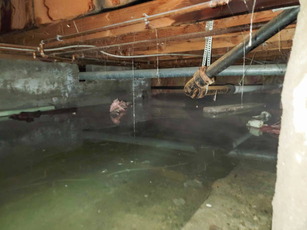 Water damage restoration process in Kenton, OH