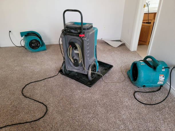 Best Emergency water damage restoration  in Kenton, OH