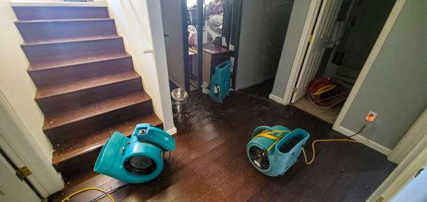 Best Basement water damage restoration  in Kenton, OH
