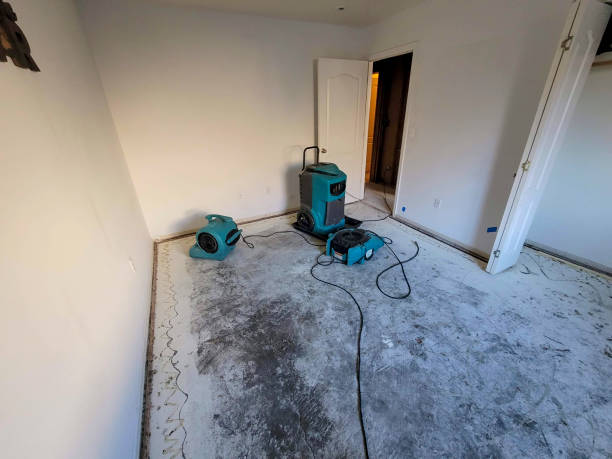 Trusted Kenton, OH Water damage restoration Experts