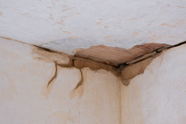 Best Sewage cleanup and water damage restoration  in Kenton, OH