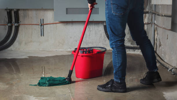 Best Water damage restoration services  in Kenton, OH