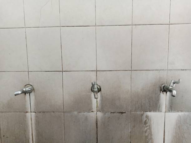 Best Commercial water damage restoration  in Kenton, OH