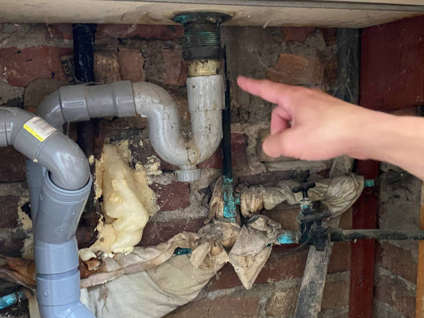 Best Carpet water damage restoration  in Kenton, OH
