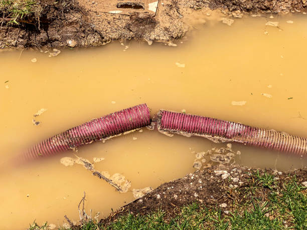 Best Emergency water damage restoration  in Kenton, OH